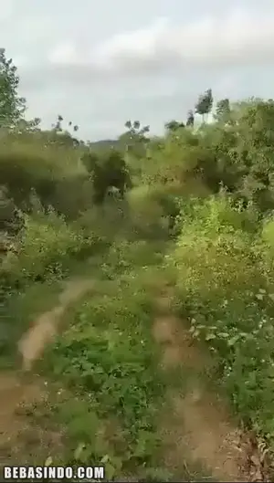 Bokep Terbaru Ngentot Adik Teman Di Tempat Sepi